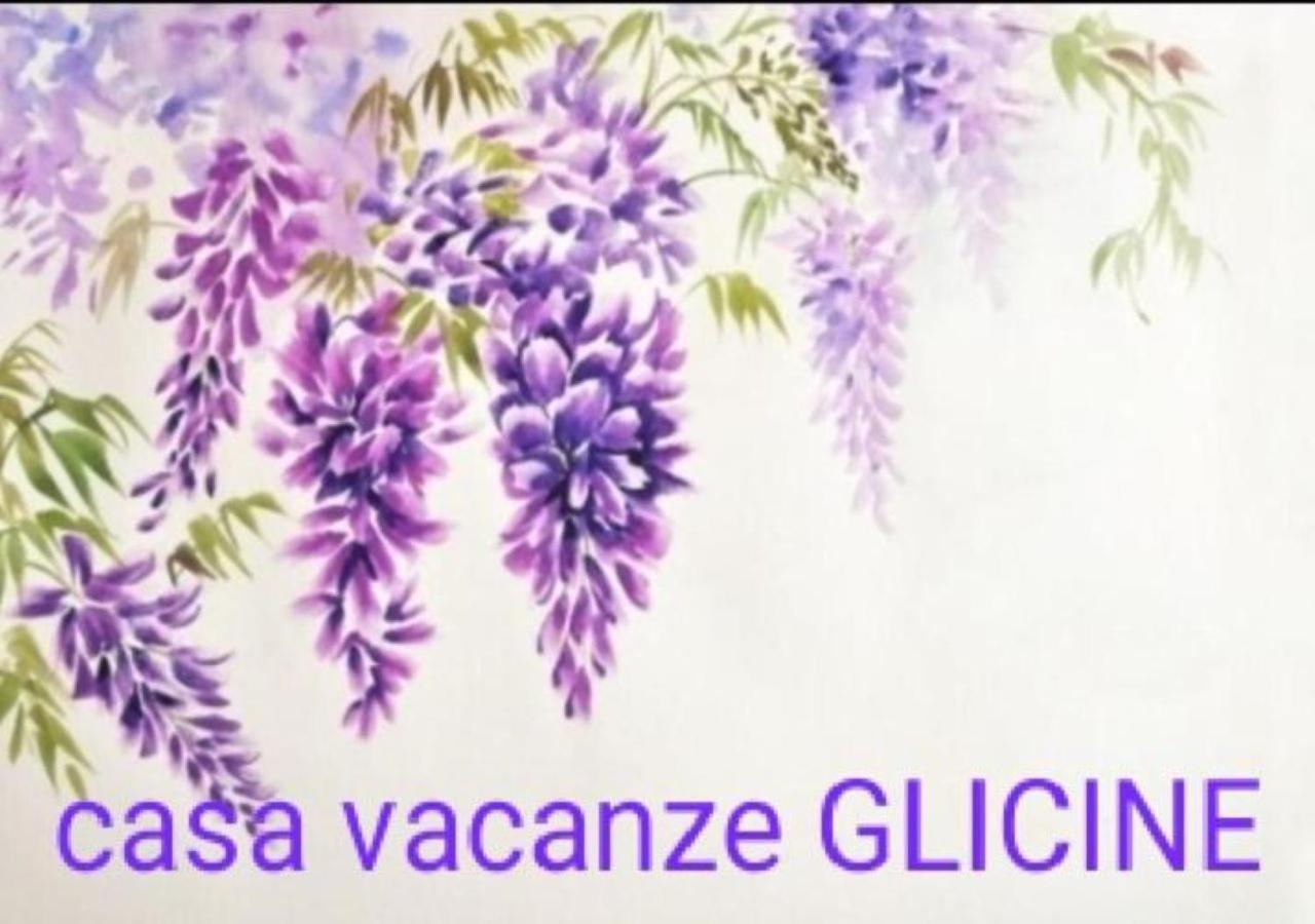 Casa Glicine Apartment Venaria Reale